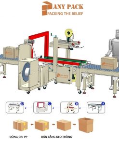 day chuyen dong goi thung carton dan thung dong dai tu dong APL-CS05M Anypack