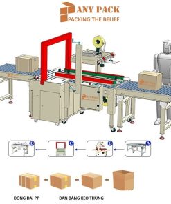 day chuyen dong goi thung carton dan thung va dong dai APL-CS05H Anypack