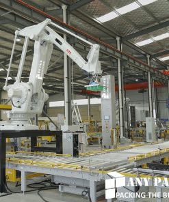 Day chuyen dong goi thung carton palletizer AL01 Anypack