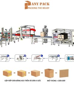 Day chuyen dong thung carton dung thung gap nap dan goc APL-CS06 Anypack