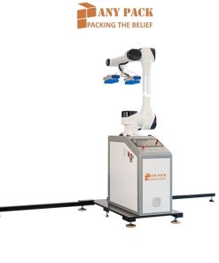 Robot Palletizer AMP-R30W Anypack