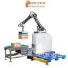 Robot palletizer Robot xep pallet AMP-R30