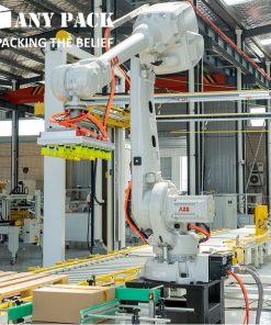 canh tay robot palletizer cong nghiep Anypack AP-TH150