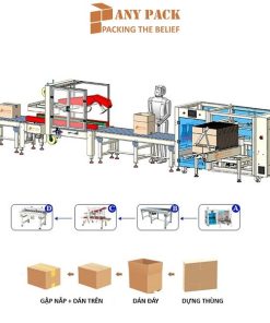 day chuyen dong goi thung carton tu dong Anypack APL-CS07