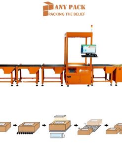 he thong phan loai buu pham sorting tu dong Anypack AS10A