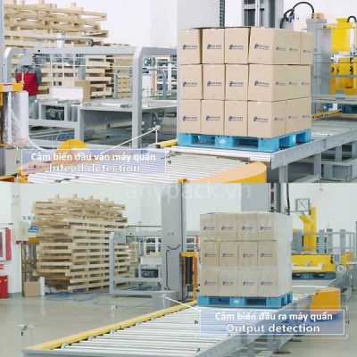 Day chuyen xep Pallet va quan mang APL-04 Anypack