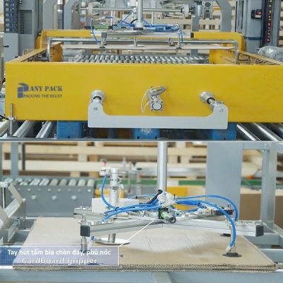 Dong goi Pallet APL-04 Anypack