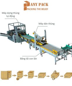 Robot Palletizer ARPL-01 Anypack