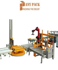 Robot Palletizer Anypack ARPL-01