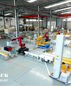 Robot xep hang len Pallet tu dong ARPL-01 Anypack