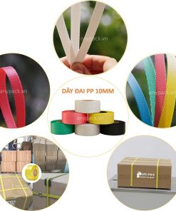 day dai PP 10mm Anypack