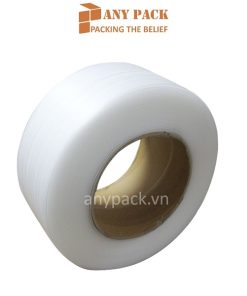 day dai PP nguyen sinh 12mm Anypack