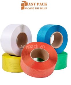 day dai nhua PP 12mm Anypack