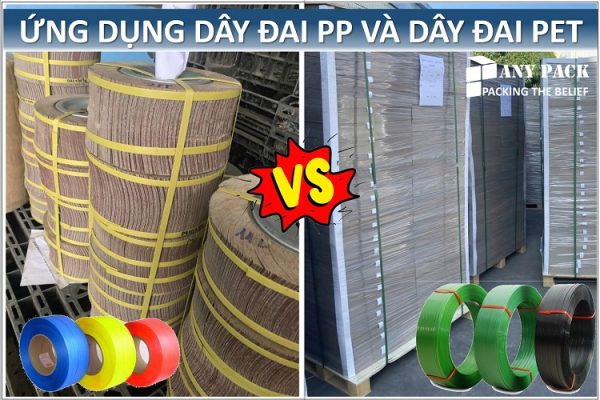ung dung cua day dai PP va day dai PET