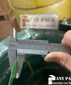 PET STRAP 19mm Anypack Vietnam