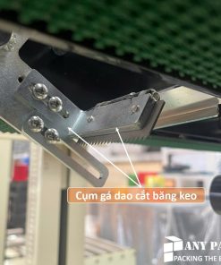 dao cat bang dinh