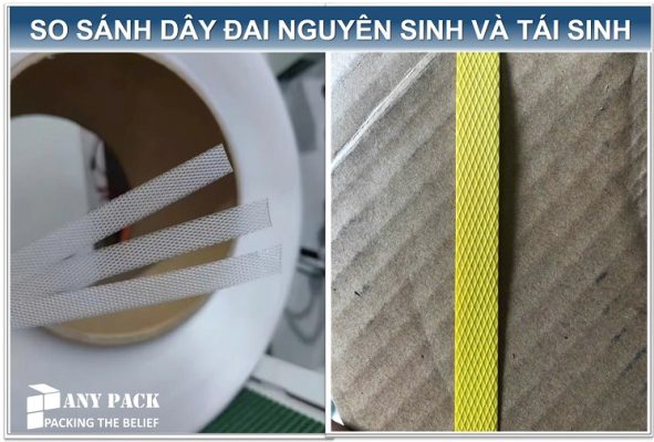 so sanh day dai nhua nguyen sinh PP va day tai sinh