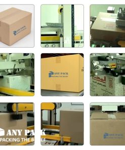 Gia may dan bang keo thung carton GPP-50C Anypack