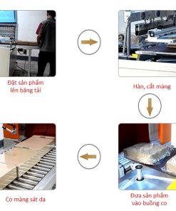 May co mang Anypack GPS-5030LW