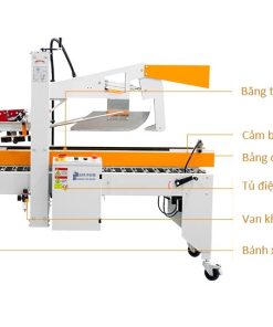 May dan bang keo thung carton Anypack GPP-50C