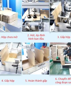 May gap hop tu dong AP-Z15 Anypack