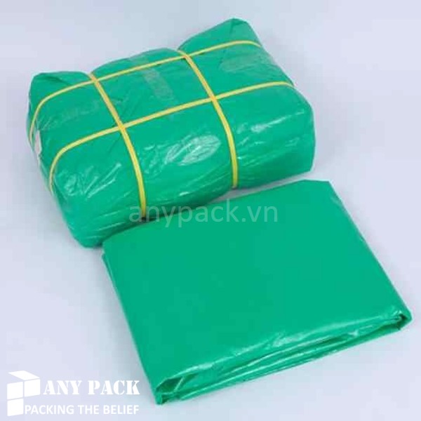 Gia may dong dai nhua AP-TSM01 Anypack