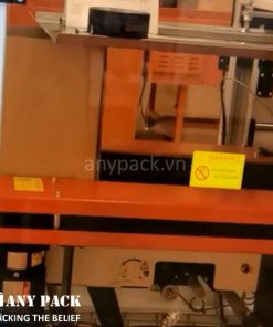 May mo thung carton APCE-K01 Anypack