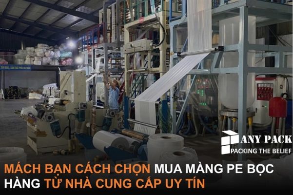 tim mua mang PE boc hang o dau uy tin